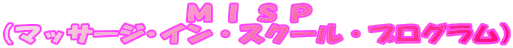MISP�i�}�b�T�[�W��C���E�X�N�[���E�v���O�����j